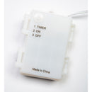 Lighted Birch Branch Snowflake Hanging Accent - White