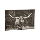Outdoor Canvas Wall Décor, Longhorn, 36" L x 24" H