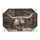 Outdoor Canvas Wall Décor, Longhorn, 36" L x 24" H