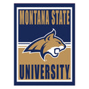 15.5"L x 11.5"H Medium Metal Wall Sign, Montana State University