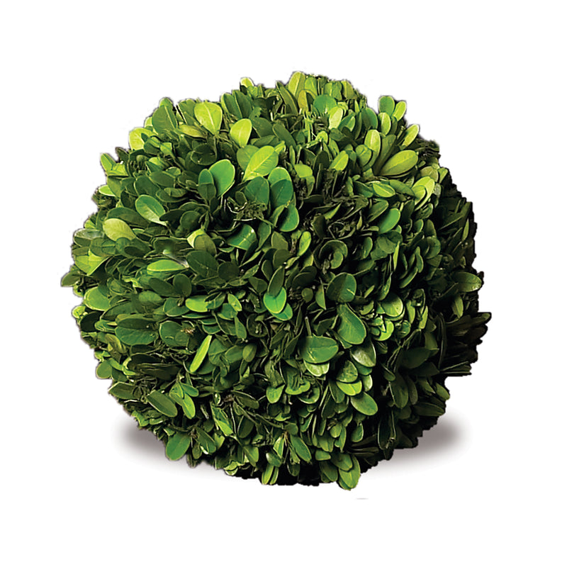 NAPA Home & Garden, BOXWOOD BALL 6",7504PG