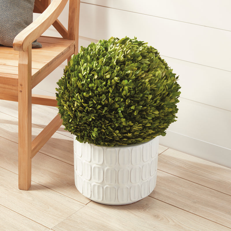 NAPA Home & Garden, BOXWOOD BALL 16",7506PG