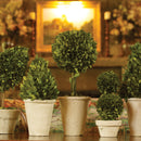 NAPA Home & Garden, BOXWOOD TOPIARIES IN POTS, SET OF 8,7507PG