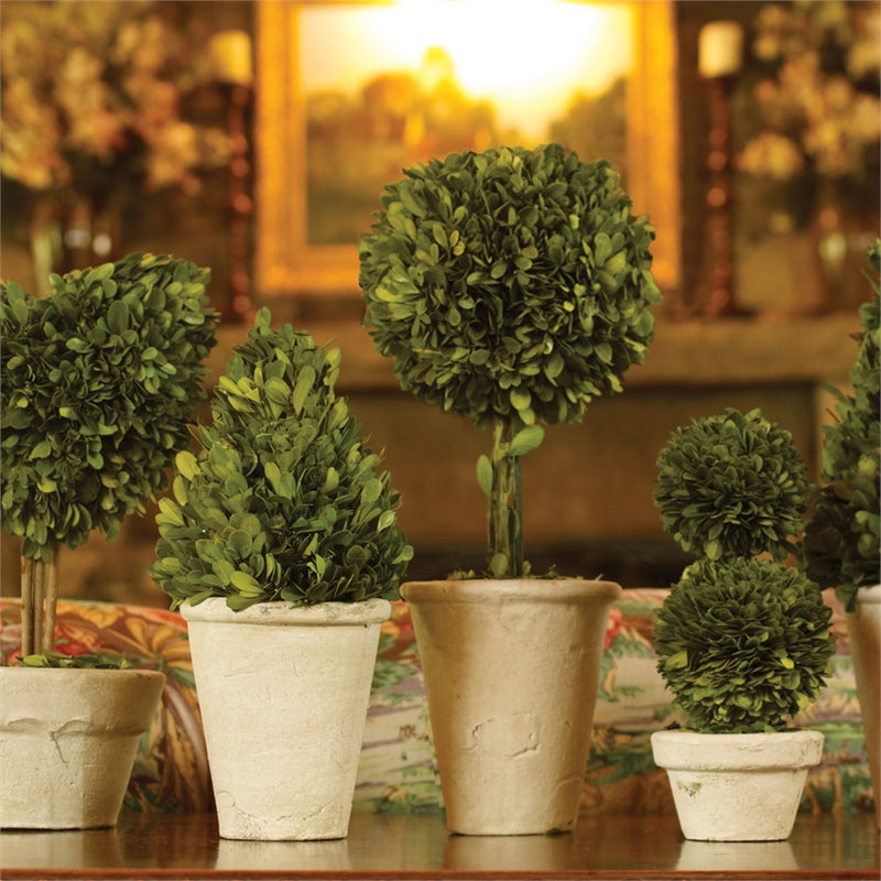 Napa Home Garden, PG TOPIARIES IN POTS ST/8,7507pg