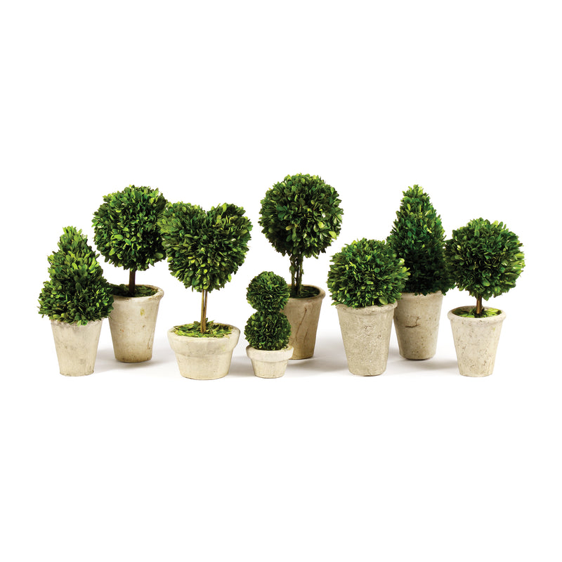 NAPA Home & Garden, BOXWOOD TOPIARIES IN POTS, SET OF 8,7507PG