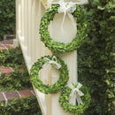 NAPA Home & Garden, BOXWOOD WREATHS, SET OF 3,7509PG