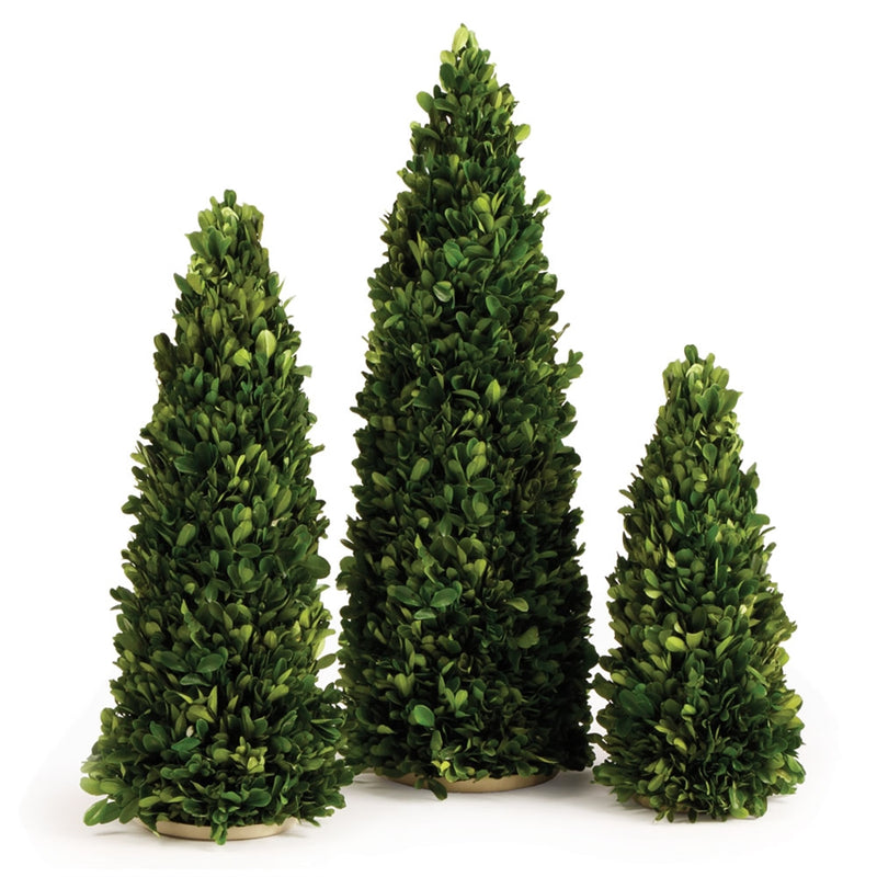 Napa Home Garden, PG MINI TREES ,SET OF 3,7520pg