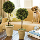 NAPA Home & Garden, BOXWOOD SINGLE SPHERE TOPIARY
