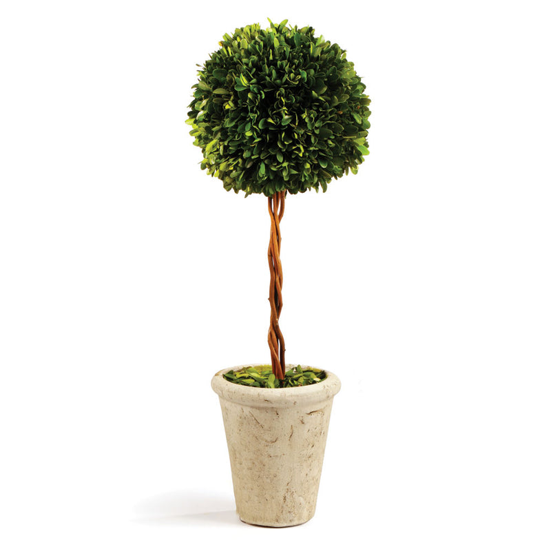 NAPA Home & Garden, BOXWOOD SINGLE SPHERE TOPIARY 18.5",7536PG