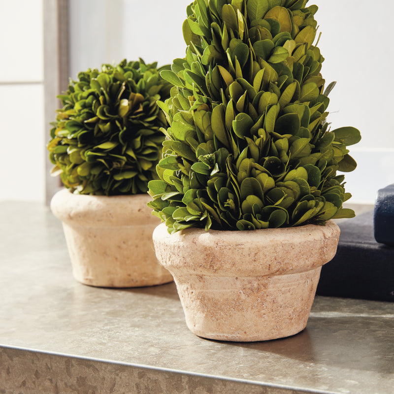 NAPA Home & Garden, BOXWOOD TOPIARIES IN POTS, SET OF 5,7581PG