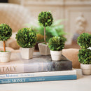 NAPA Home & Garden, BOXWOOD MINI TOPIARIES IN POTS, SET OF 5,7582PG