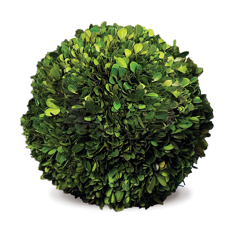 NAPA Home & Garden, BOXWOOD BALL 12",7585PG