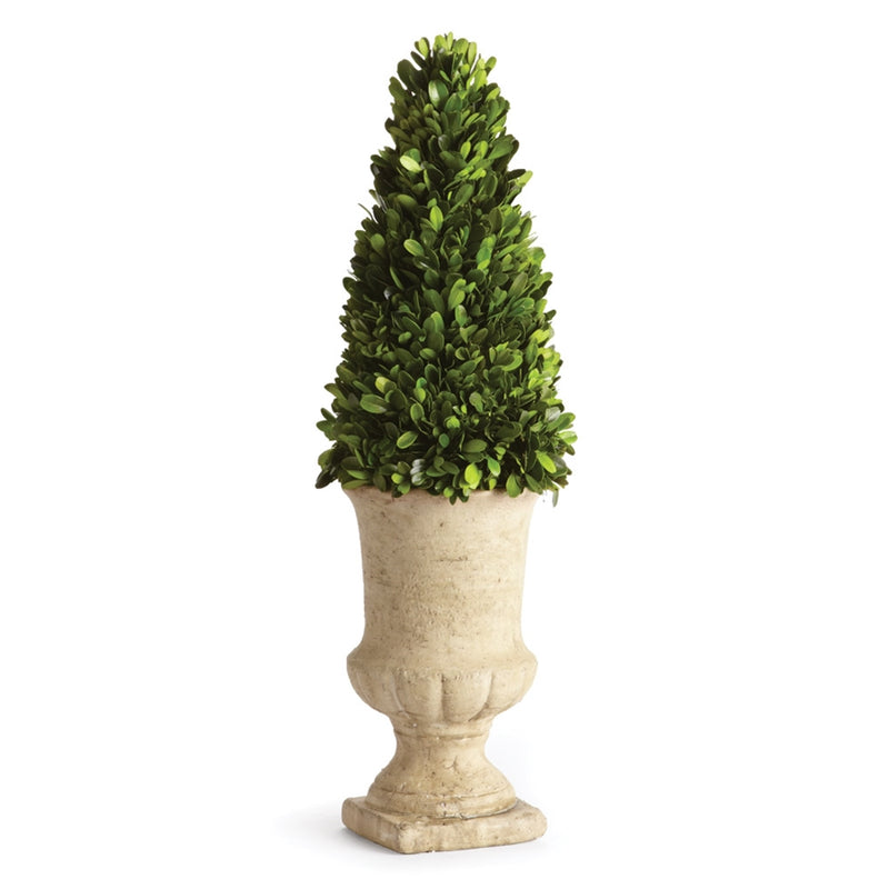 Napa Home Garden, PG 24' CONE TOPIARY IN URN,7590pg