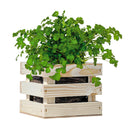 Herb Grow Kit in Wooden Crate