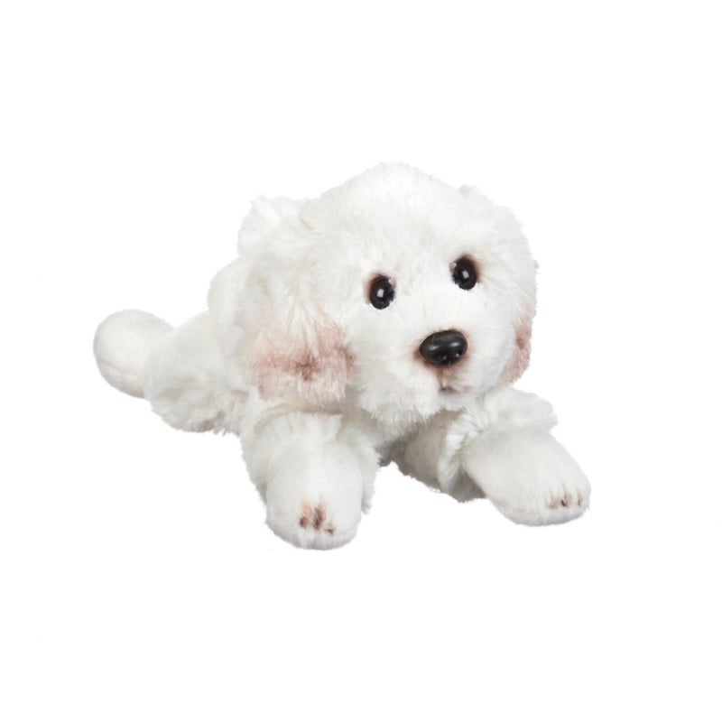 Evergreen Gifts,Bichon Frise 8" Bean Bag,3x8x2.5 Inches