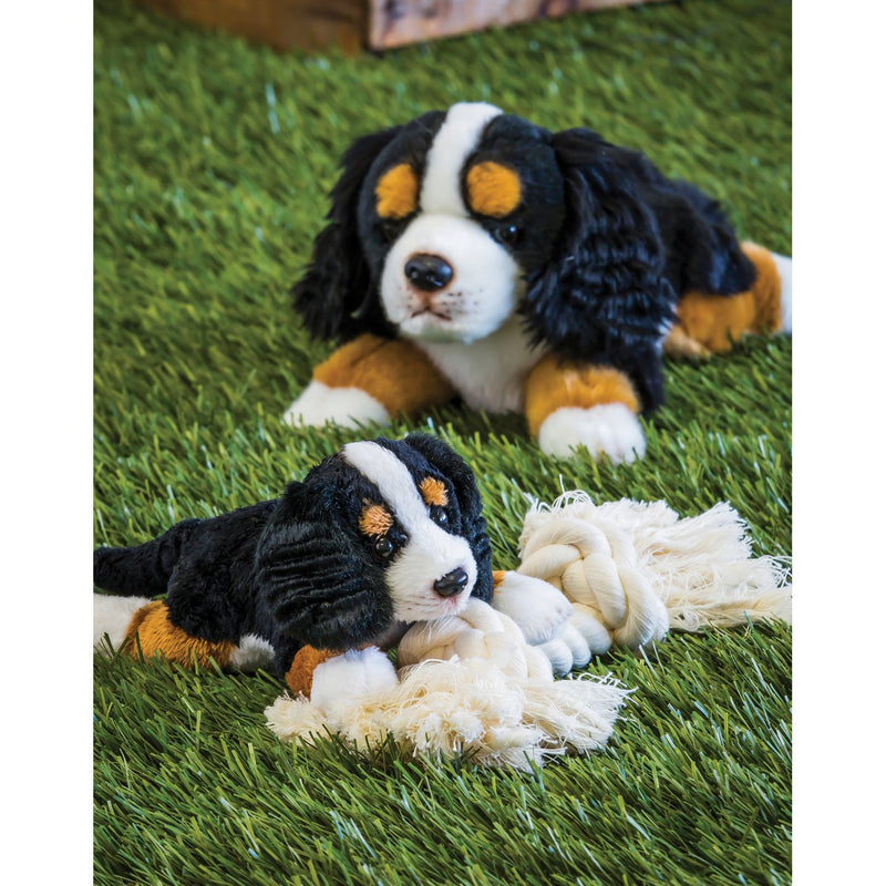 Evergreen Gifts,Bernese Mountain Dog 8" Bean Bag,2.5x8x3 Inches