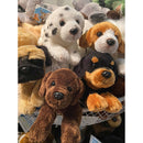 Evergreen Gifts,Chocolate Lab 8" Bean Bag,8x2.5x3 Inches