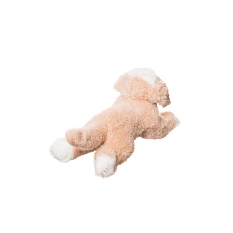 Evergreen Gifts,Maltipoo 8"  Bean Bag,2.5x8x3 Inches