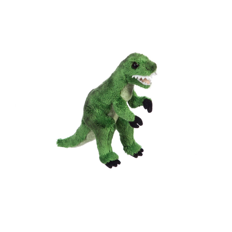 Evergreen Gifts,Tyrannosaurus Rex 6" Bean Bag,8x3x2.5 Inches