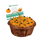 Mini Fall Harvest Pocket Token