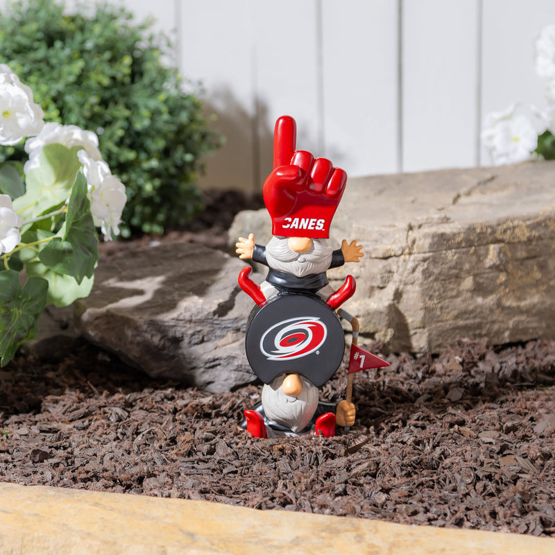 Carolina Hurricanes, Garden Stack,844354stk