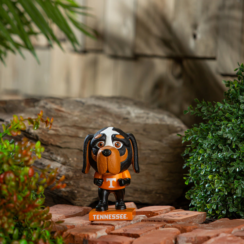 Lil Big Head Statue, Mascot, University of Tennessee,84955lbhm