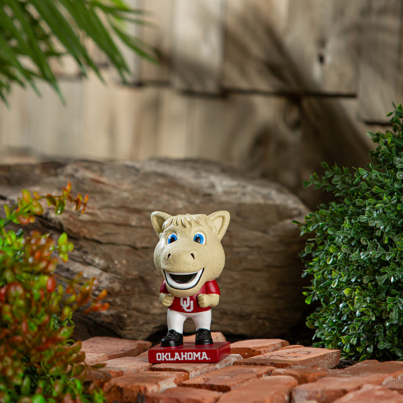 Lil Big Head Statue, Mascot, University of Oklahoma,84974lbhm