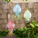 Garden of Wonder Planter, Air Planter, Hanging Glass Ornament