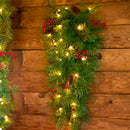 SWAG W/ BATTERY LITE