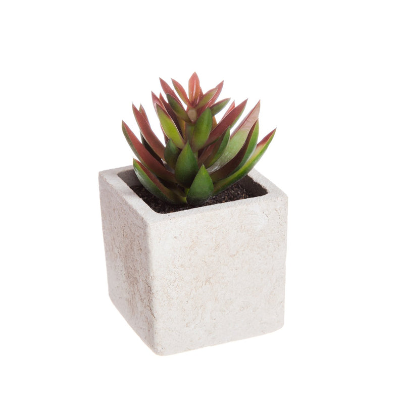 Succulent in Square Pot, 3 ASST,8flp071