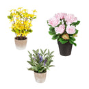 Faux Greenery Potted Florals, 3 ASST