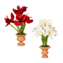 15" Faux Amaryllis Arrangement in Terracotta Planter,8flp333