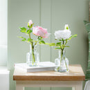 Artificial Cabbage Rose in Glass Vase Table Décor, Asst, 11.75"H