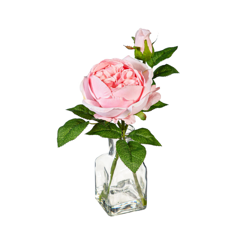 Artificial Cabbage Rose in Glass Vase Table Decor, Asst, 11.75"H
