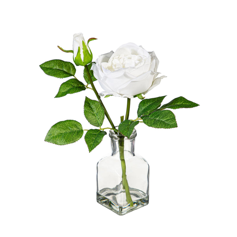 Artificial Cabbage Rose in Glass Vase Table Decor, Asst, 11.75"H