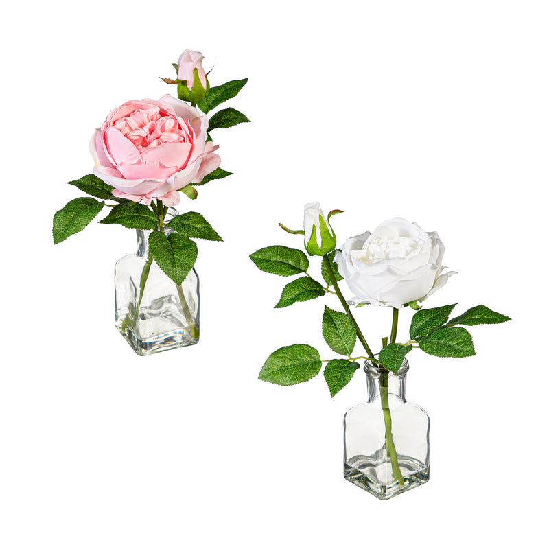 Artificial Cabbage Rose in Glass Vase Table Decor, Asst, 11.75"H