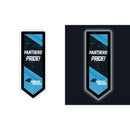 Carolina Panthers NFL Football Pennant Glazelite LED Decor
