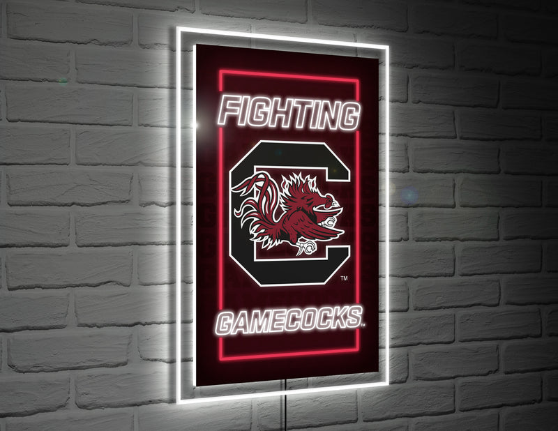 22"H x 14"L NeoLite Wall Décor, Rectangle, University of South Carolina,8led954nlrt