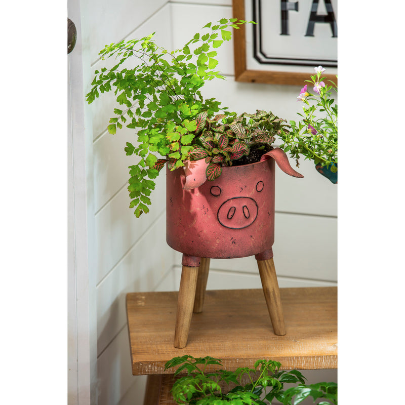 Metal Pig Planter With Wooden Stand,8pmtl172