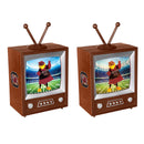 University of South Carolina Vintage TV Water Lantern