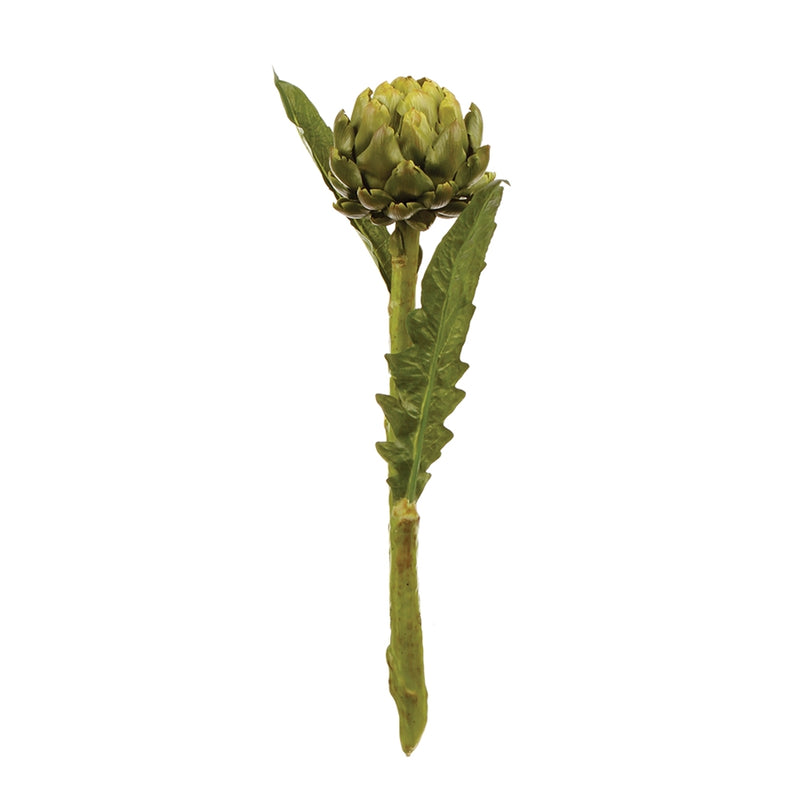 Napa Home Garden, ARTICHOKE 25" STEM,cc212