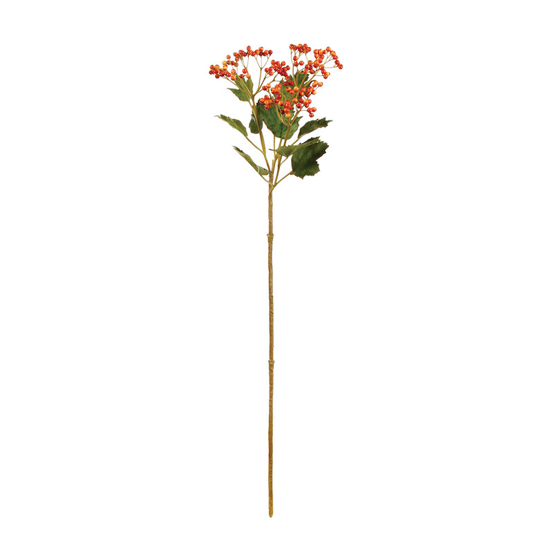 NAPA Home & Garden, VIBURNUM BERRY BRANCH 30",CC216RD