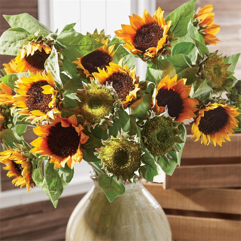 SUNFLOWER STEMS 35" BUNDLE/2