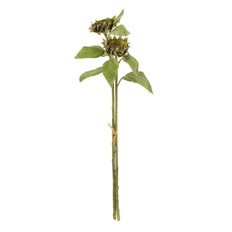 NAPA Home & Garden, SEEDED SUNFLOWER STEMS 36", BUNDLE OF 2,CC222