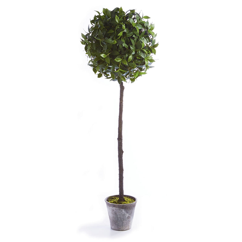 Napa Floral Collection-Laurel Ball Topiary Potted 65 inches