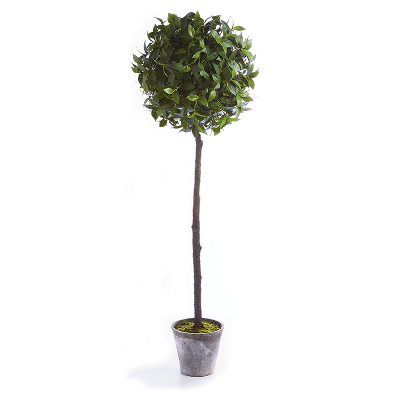 Napa Home Garden, LAUREL BALL 65" TOPIARY POTTED,cc226