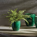 NAPA Home & Garden, Boston Fern Drop-In Collection