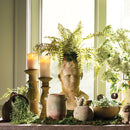 NAPA Home & Garden, Boston Fern Drop-In Collection