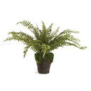 NAPA Home & Garden, Boston Fern Drop-In Collection