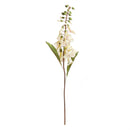 Napa Home Garden, FOX GLOVE 24" STEM CREAM,cc246cr